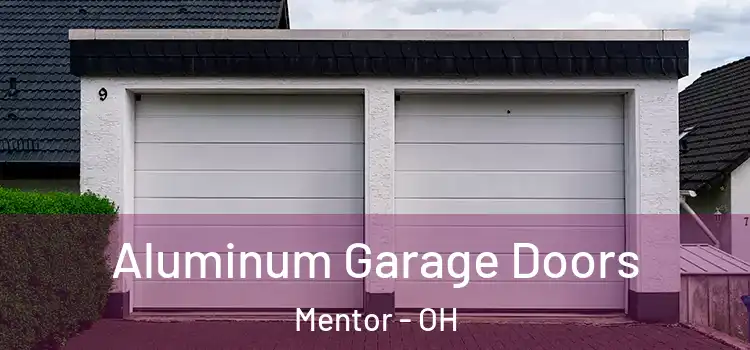  Aluminum Garage Doors Mentor - OH