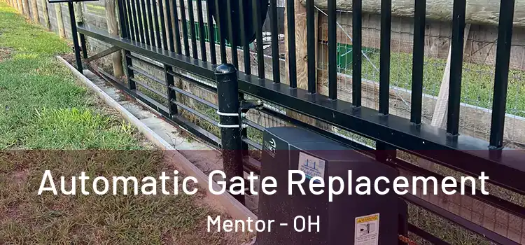  Automatic Gate Replacement Mentor - OH