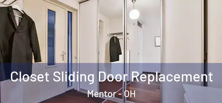 Closet Sliding Door Replacement Mentor - OH