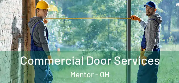  Commercial Door Services Mentor - OH