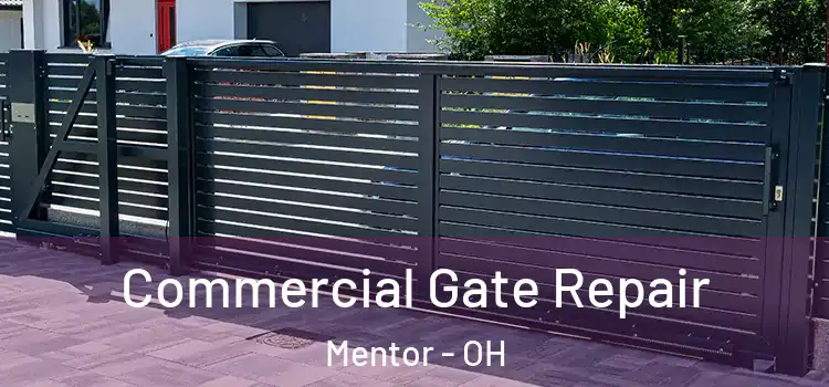  Commercial Gate Repair Mentor - OH