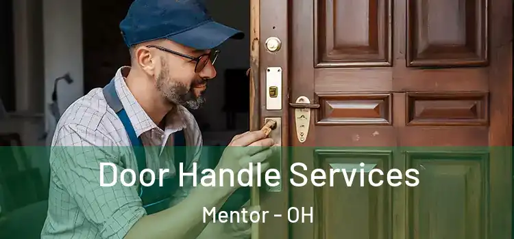  Door Handle Services Mentor - OH