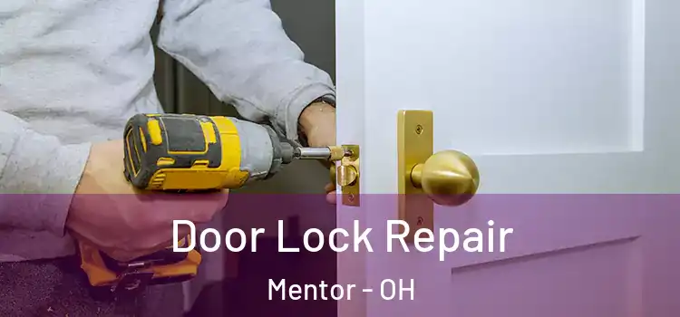 Door Lock Repair Mentor - OH