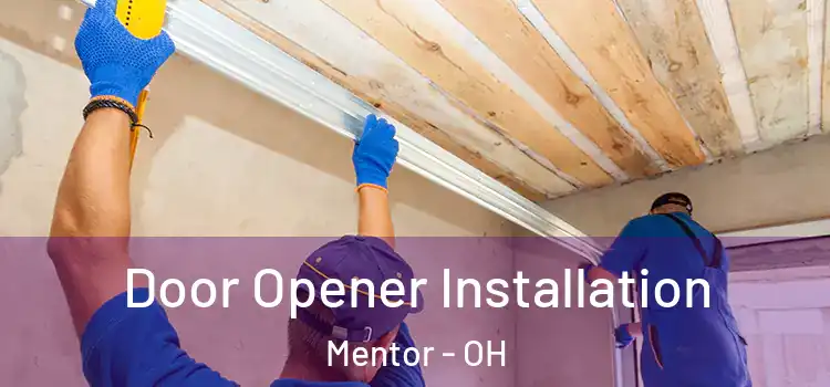  Door Opener Installation Mentor - OH