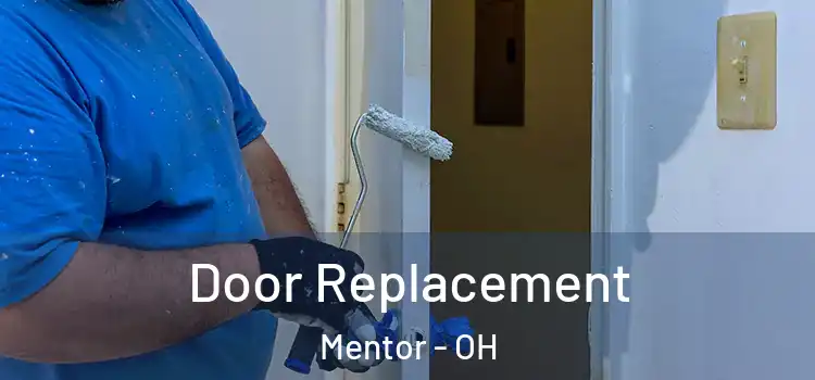  Door Replacement Mentor - OH
