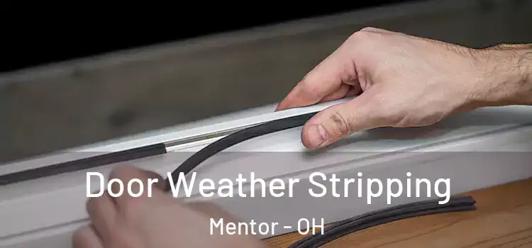 Door Weather Stripping Mentor - OH