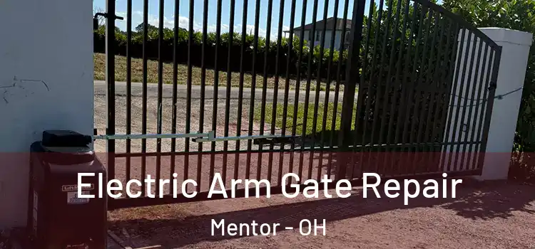 Electric Arm Gate Repair Mentor - OH