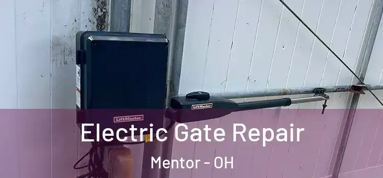 Electric Gate Repair Mentor - OH