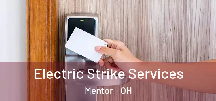  Electric Strike Services Mentor - OH