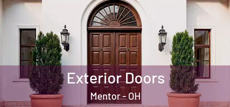  Exterior Doors Mentor - OH