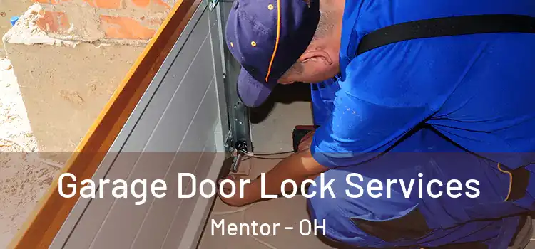 Garage Door Lock Services Mentor - OH