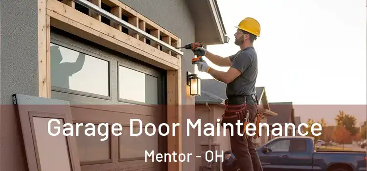 Garage Door Maintenance Mentor - OH