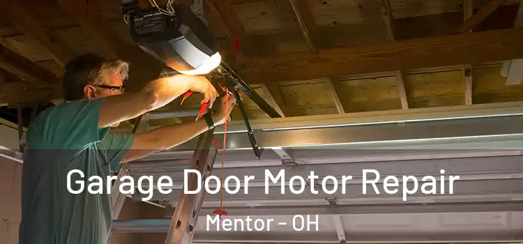  Garage Door Motor Repair Mentor - OH