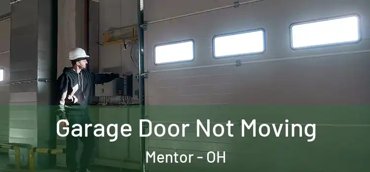  Garage Door Not Moving Mentor - OH