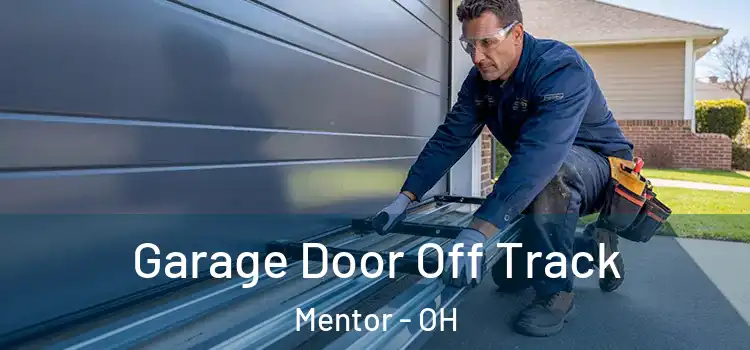  Garage Door Off Track Mentor - OH