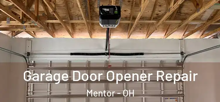  Garage Door Opener Repair Mentor - OH