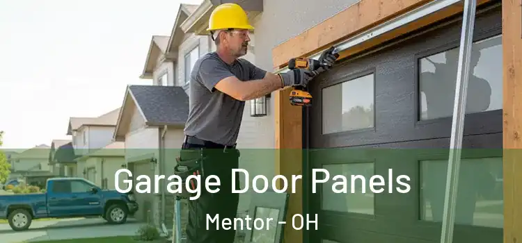  Garage Door Panels Mentor - OH
