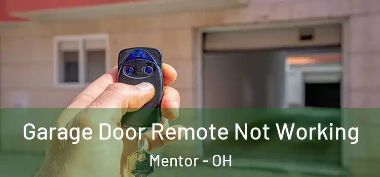  Garage Door Remote Not Working Mentor - OH