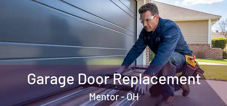  Garage Door Replacement Mentor - OH