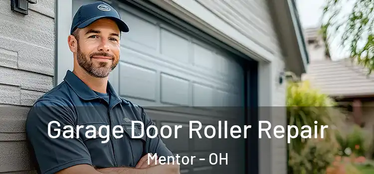  Garage Door Roller Repair Mentor - OH