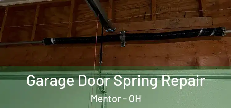  Garage Door Spring Repair Mentor - OH