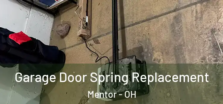  Garage Door Spring Replacement Mentor - OH
