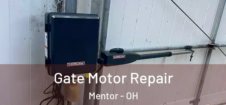 Gate Motor Repair Mentor - OH