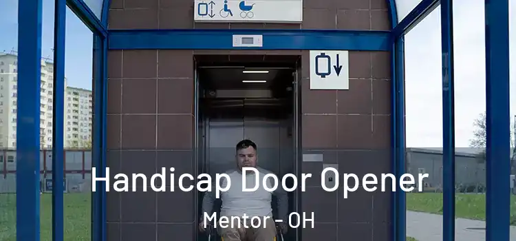  Handicap Door Opener Mentor - OH