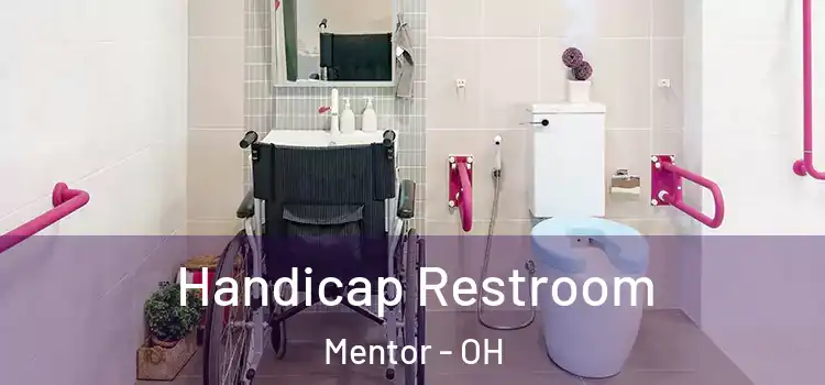  Handicap Restroom Mentor - OH