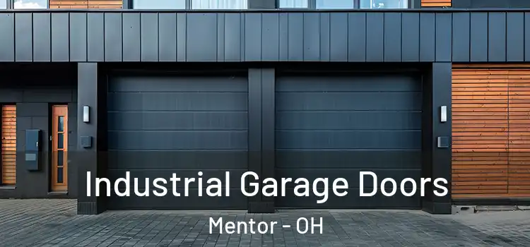  Industrial Garage Doors Mentor - OH