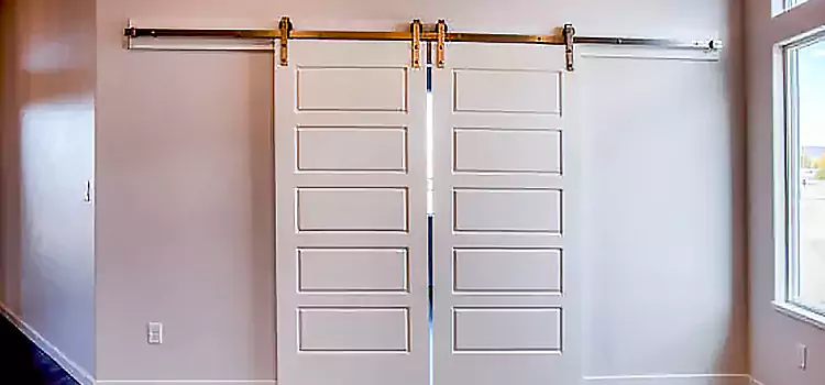 Glass Barn Door with Installation Hardware Kit Mentor