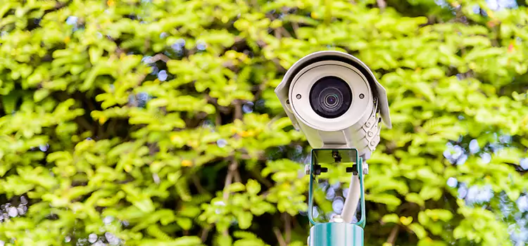 Advanced Surveillance Solutions for Every Need in Mentor