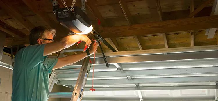 Garage Door Opener Sales and Installation Mentor
