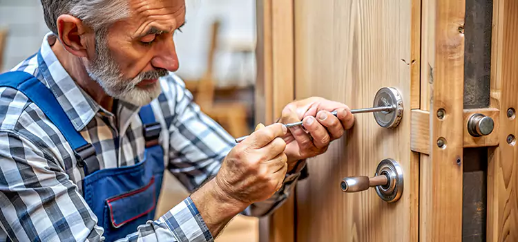 Mortise Replacement Lock Mentor