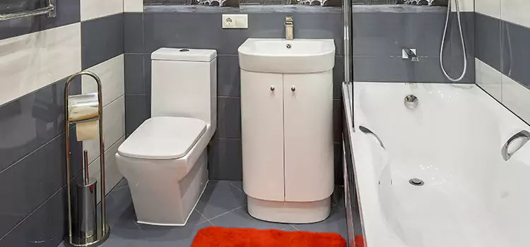 Hansgrohe Shaving Mirror Mentor