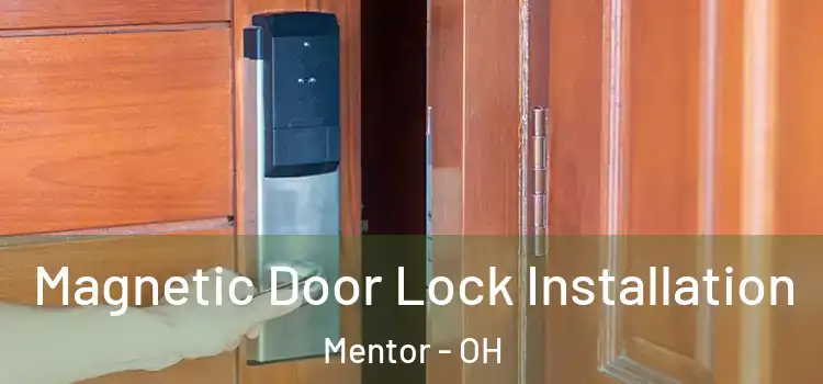 Magnetic Door Lock Installation Mentor - OH