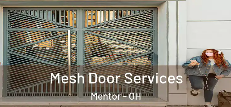  Mesh Door Services Mentor - OH