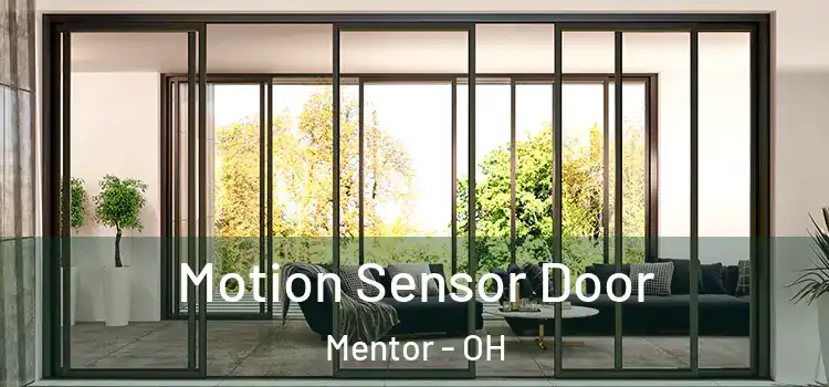  Motion Sensor Door Mentor - OH