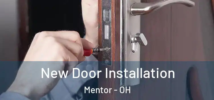 New Door Installation Mentor - OH