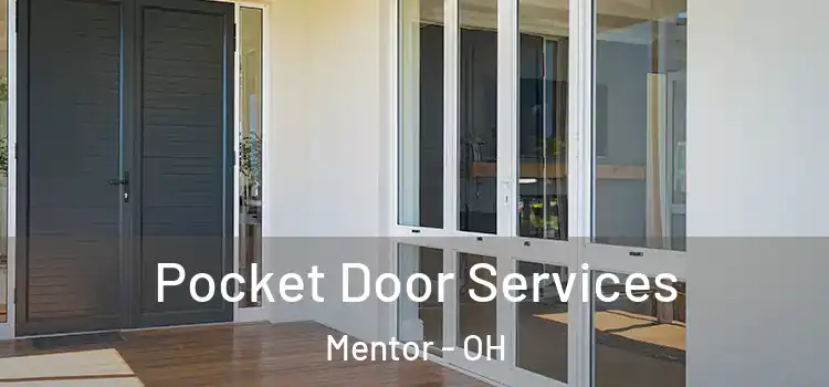 Pocket Door Services Mentor - OH