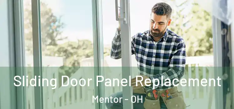  Sliding Door Panel Replacement Mentor - OH
