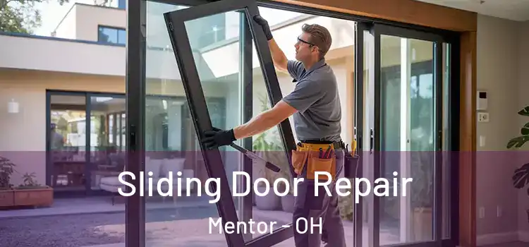  Sliding Door Repair Mentor - OH