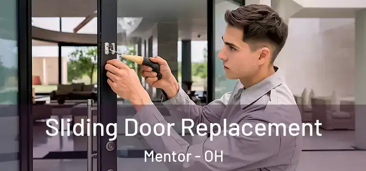  Sliding Door Replacement Mentor - OH