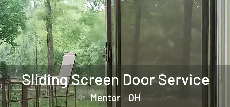 Sliding Screen Door Service Mentor - OH