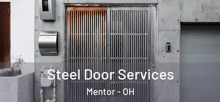  Steel Door Services Mentor - OH