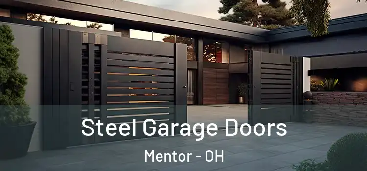  Steel Garage Doors Mentor - OH