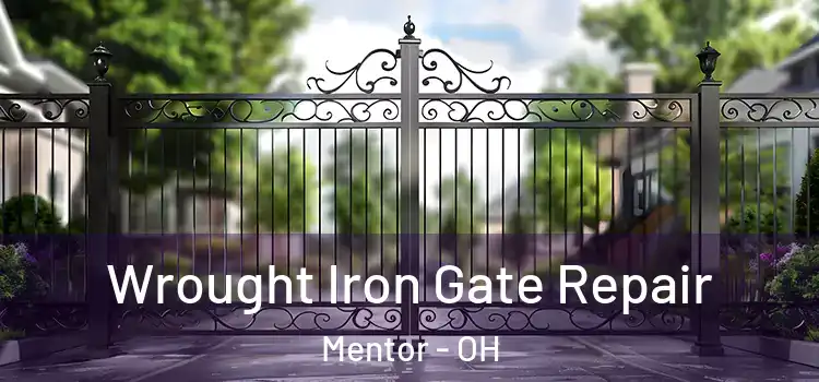 Wrought Iron Gate Repair Mentor - OH